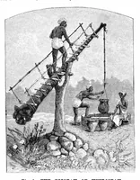 An illustration from Scientific American, Vol. 64, No. 20 (May 1891) (1891)