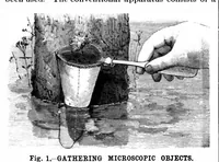 Picture 10 of 13 from Scientific American, Vol. 64, No. 25 (June 1891) (1891), leaf 8
