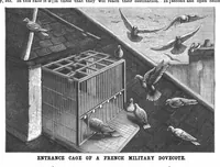 Picture 6 of 10 from Scientific American, Vol. 65, No. 2 (July 1891) (1891), leaf 7