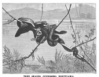 Picture 8 of 9 from Scientific American, Vol. 65, No. 8 (August 1891) (1891), leaf 10