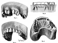 An illustration from Scientific American, Vol. 65, No. 16 (October 1891) (1891)