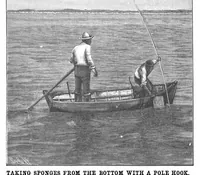 Picture 9 of 16 from Scientific American, Vol. 65, No. 21 (November 1891) (1891), leaf 7