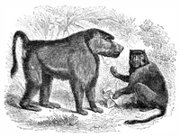 An illustration from Scientific American, Vol. 65, No. 24 (December 1891) (1891)