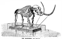 An illustration from Scientific American, Vol. 66, No. 5 (January 1892) (1892)