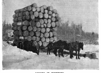 Picture 6 of 9 from Scientific American, Vol. 66, No. 18 (April 1892) (1892), leaf 8