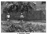 Picture 7 of 10 from Scientific American, Vol. 66, No. 23 (June 1892) (1892), leaf 8