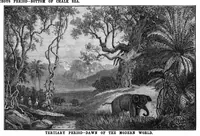 Picture 8 of 13 from Scientific American, Vol. 66, No. 26 (June 1892) (1892), leaf 7