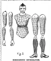 Picture 5 of 14 from Scientific American, Vol. 67, No. 2 (July 1892) (1892), leaf 4