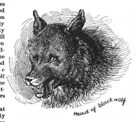 Picture 10 of 13 from Scientific American, Vol. 67, No. 3 (July 1892) (1892), leaf 10