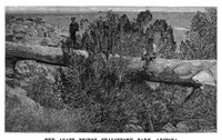 An illustration from Scientific American, Vol. 67, No. 4 (July 1892) (1892)