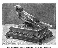 An illustration from Scientific American, Vol. 67, No. 5 (July 1892) (1892)
