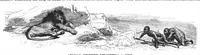 An illustration from Scientific American, Vol. 67, No. 7 (August 1892) (1892)