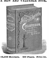 Picture 10 of 12 from Scientific American, Vol. 67, No. 11 (September 1892) (1892), leaf 13