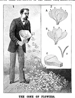 Picture 4 of 11 from Scientific American, Vol. 67, No. 12 (September 1892) (1892), leaf 4