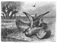 An illustration from Scientific American, Vol. 67, No. 19 (November 1892) (1892)