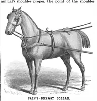 An illustration from Scientific American, Vol. 67, No. 25 (December 1892) (1892)
