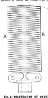 Picture 8 of 18 from Scientific American, Vol. 67, No. 25 (December 1892) (1892), leaf 5