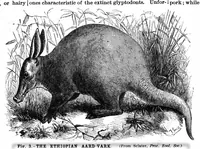 Picture 16 of 18 from Scientific American, Vol. 68, No. 5 (February 1893) (1893), leaf 10