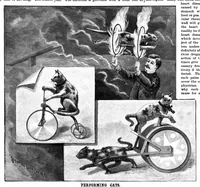 Picture 10 of 18 from Scientific American, Vol. 68, No. 5 (February 1893) (1893), leaf 7