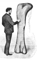 Picture 12 of 15 from Scientific American, Vol. 68, No. 9 (March 1893) (1893), leaf 8