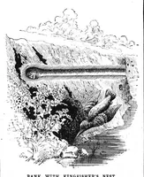 Picture 14 of 15 from Scientific American, Vol. 68, No. 14 (April 1893) (1893), leaf 9