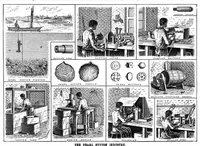 Picture 3 of 15 from Scientific American, Vol. 68, No. 17 (April 1893) (1893), leaf 3