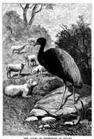 Picture 12 of 15 from Scientific American, Vol. 68, No. 20 (May 1893) (1893), leaf 9