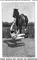 Picture 13 of 14 from Scientific American, Vol. 68, No. 21 (May 1893) (1893), leaf 9