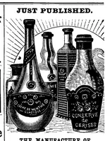 An illustration from Scientific American, Vol. 69, No. 2 (July 1893) (1893)