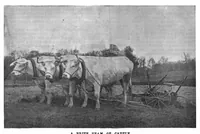 Picture 4 of 13 from Scientific American, Vol. 69, No. 6 (August 1893) (1893), leaf 4