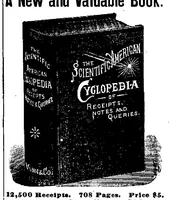 An illustration from Scientific American, Vol. 69, No. 8 (August 1893) (1893)