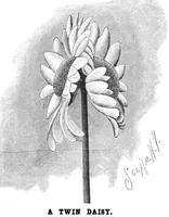Picture 10 of 13 from Scientific American, Vol. 69, No. 9 (August 1893) (1893), leaf 10