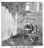 Picture 7 of 17 from Scientific American, Vol. 69, No. 10 (September 1893) (1893), leaf 6