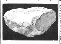 An illustration from Scientific American, Vol. 69, No. 12 (September 1893) (1893)
