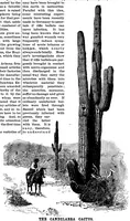 An illustration from Scientific American, Vol. 69, No. 17 (October 1893) (1893)