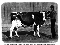 Picture 8 of 11 from Scientific American, Vol. 69, No. 18 (October 1893) (1893), leaf 8
