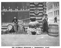 Picture 5 of 10 from Scientific American, Vol. 69, No. 23 (December 1893) (1893), leaf 7