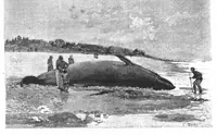 An illustration from Scientific American, Vol. 69, No. 23 (December 1893) (1893)