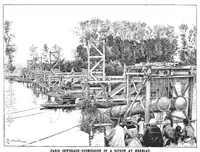 Picture 1 of 16 from Scientific American, Vol. 69, No. 24 (December 1893) (1893), leaf 3