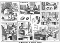 Picture 9 of 16 from Scientific American, Vol. 69, No. 24 (December 1893) (1893), leaf 8
