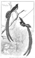 An illustration from Scientific American, Vol. 70, No. 1 (January 1894) (1894)