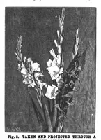 An illustration from Scientific American, Vol. 70, No. 11 (March 1894) (1894)
