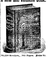 An illustration from Scientific American, Vol. 70, No. 20 (May 1894) (1894)