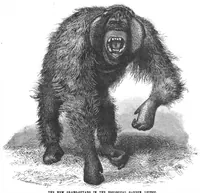 An illustration from Scientific American, Vol. 70, No. 22 (June 1894) (1894)
