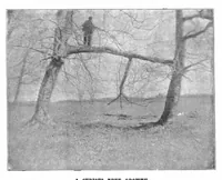 An illustration from Scientific American, Vol. 70, No. 23 (June 1894) (1894)
