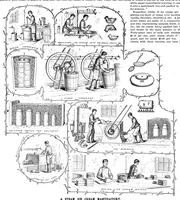 An illustration from Scientific American, Vol. 71, No. 3 (July 1894) (1894)