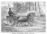 An illustration from Scientific American, Vol. 71, No. 16 (October 1894) (1894)