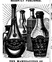 Picture 10 of 10 from Scientific American, Vol. 71, No. 16 (October 1894) (1894), leaf 14