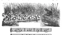 An illustration from Scientific American, Vol. 71, No. 16 (October 1894) (1894)