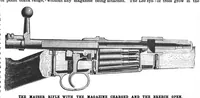 An illustration from Scientific American, Vol. 71, No. 18 (November 1894) (1894)